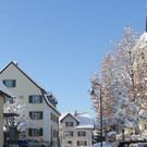 IMG_3107A.JPG