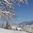 IMG_3128A.JPG