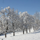 IMG_3179A.JPG