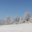 IMG_3184A.JPG