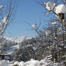 IMG_3282A.JPG