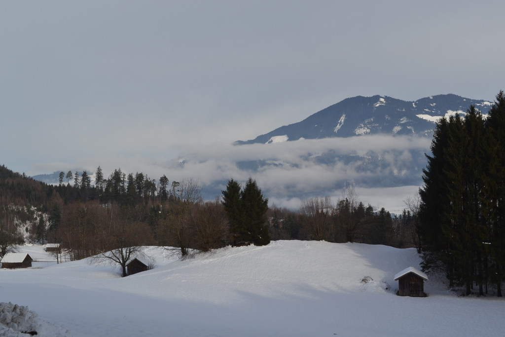 DSC_0560.JPG