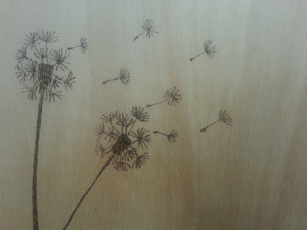 2014-11-12 12_00_32.jpg