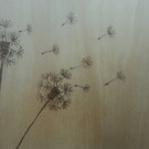 2014-11-12 12_00_32.jpg