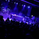 IMG_8278.JPG