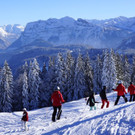 DSC010.JPG