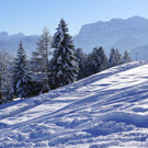 DSC011.JPG