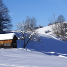 DSC018.JPG