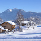 DSC020.JPG