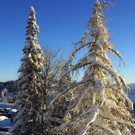 DSC09548.JPG