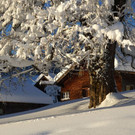 DSC09551.JPG