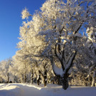 DSC09631.JPG