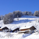 DSC09650.JPG