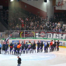 IMG_3894.jpg