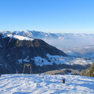 IMG_2237.JPG