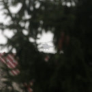 IBD0339-20150109.jpg