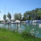 Lochau am Bodensee Hafenimpressionen _1_.jpg