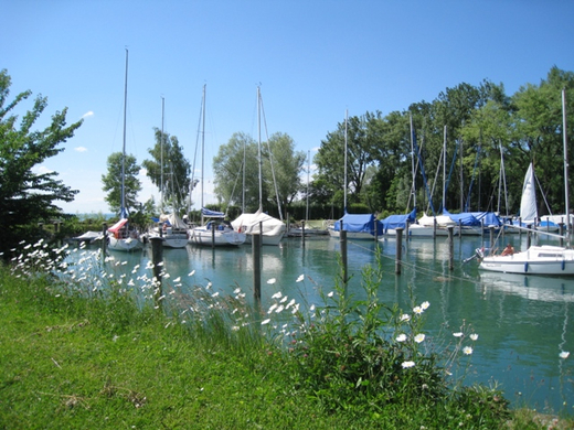 Lochau am Bodensee Hafenimpressionen _1_.jpg