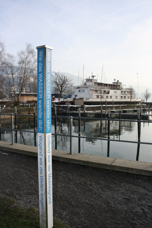 Dreik__nigslauf am See 2015 _5_.JPG