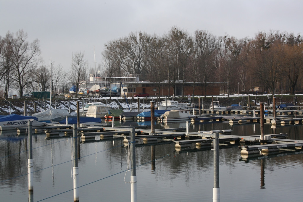 Dreik__nigslauf am See 2015 _4_.JPG