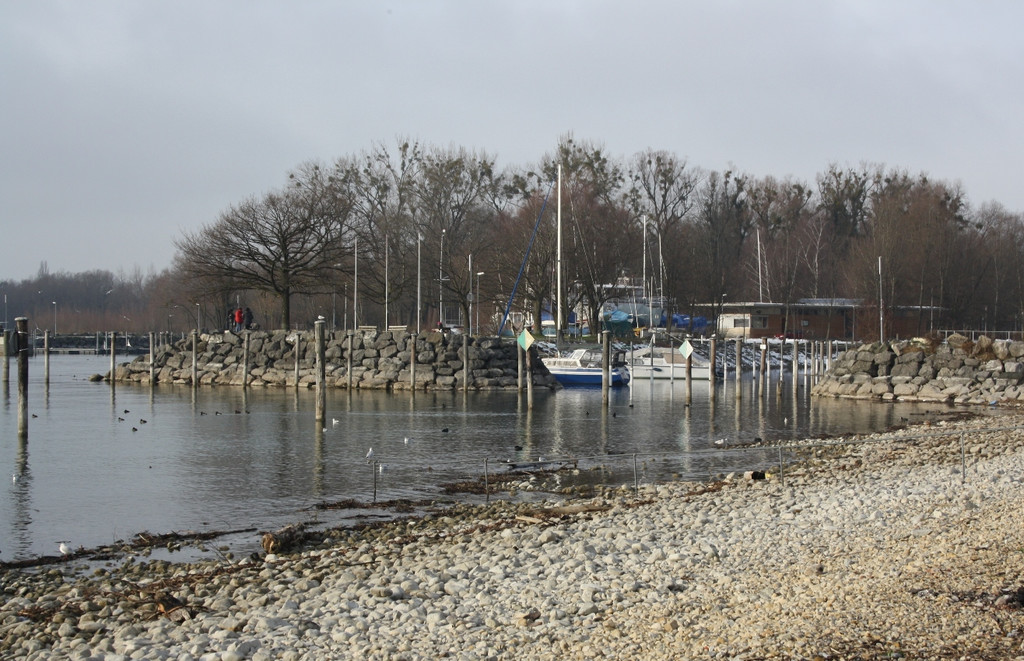 Dreik__nigslauf am See 2015 _3_.JPG
