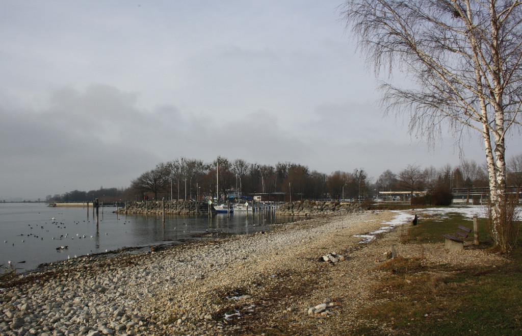 Dreik__nigslauf am See 2015 _2_.JPG