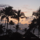 Testbericht: Hawaii
