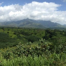 Kauai.JPG