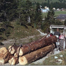 nueziders04_001.jpg