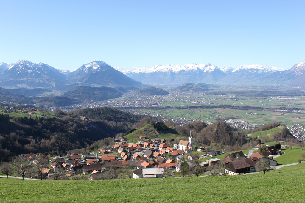 fraxern2011_kam _1_.jpg