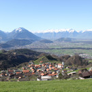 Fraxern