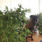 16_01_2015 SPK Schwechat  Bild2.jpg