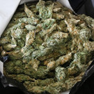 16_01_2015 SPK Schwechat  Bild3.jpg