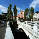 ljub.JPG