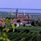 neusiedler.jpg