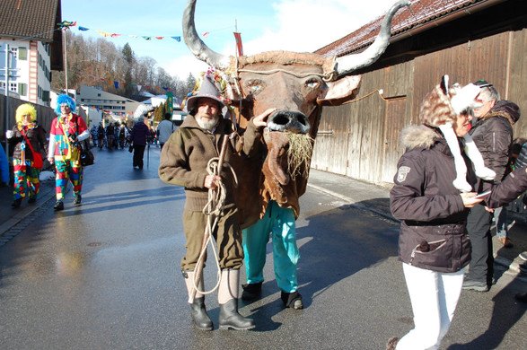 DSC_0493.JPG