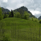 DSCN1001.JPG