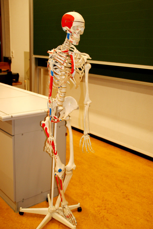 Biologieraum.JPG