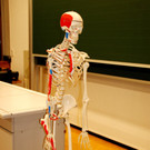 Biologieraum.JPG