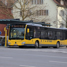 IMG_9495.JPG