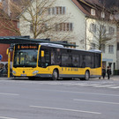 IMG_9496.JPG