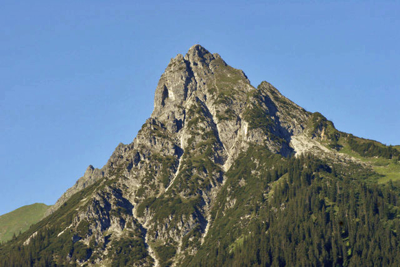 _DSC01000008_1.JPG
