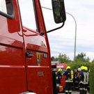 normal_11052010brandfridkhkaktivnews_20_13_.jpg