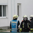 normal_11052010brandfridkhkaktivnews_20_33_.jpg