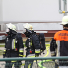 normal_11052010brandfridkhkaktivnews_20_41_.jpg
