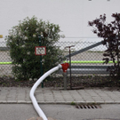 normal_11052010brandfridkhkaktivnews_20_43_.jpg