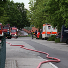 normal_11052010brandfridkhkaktivnews_20_45_.jpg