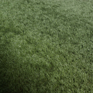 11052010stadionfmaktivnews_09.jpg