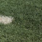 11052010stadionfmaktivnews_10.jpg