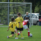 DSC05607_JPG-1273657089